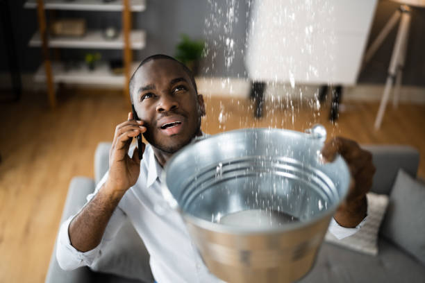 Best Flood restoration services  in Milan, NM