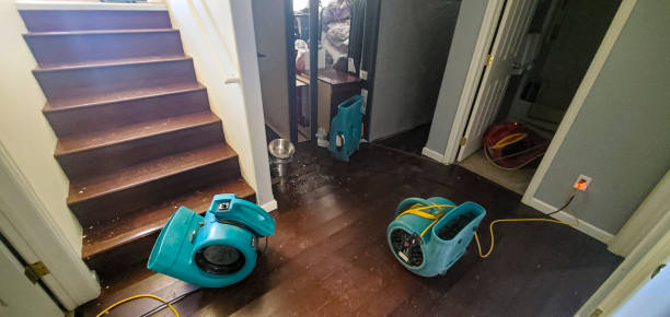 Best Water damage restoration company  in Milan, NM