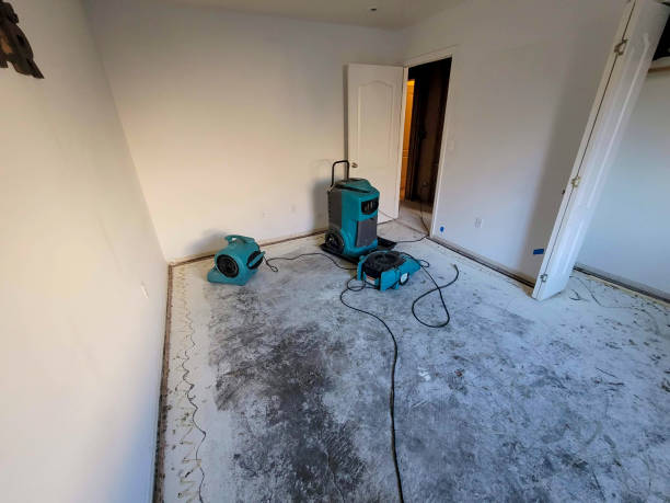 Best Water damage restoration near me  in Milan, NM