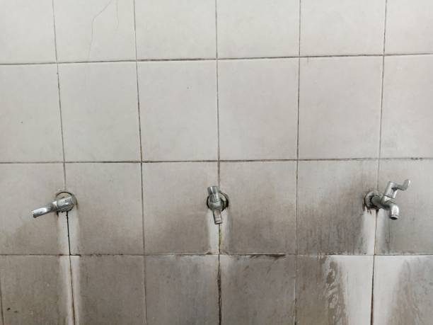 Best Emergency water damage restoration  in Milan, NM
